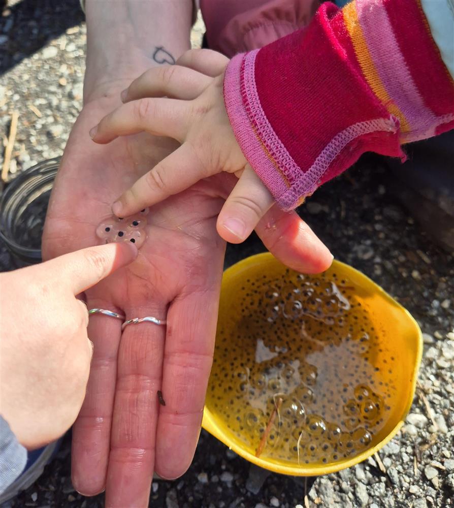 Klikk for stort bilete