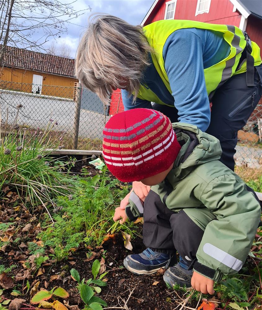 Klikk for stort bilete