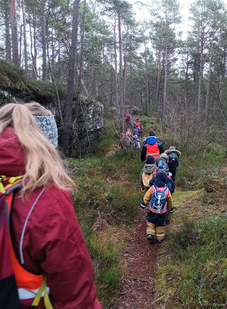 Klikk for stort bilete