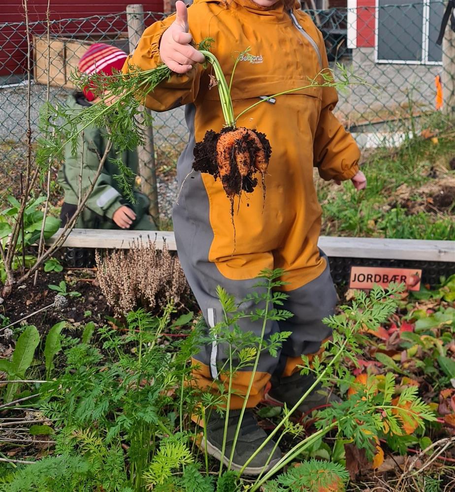 Klikk for stort bilete