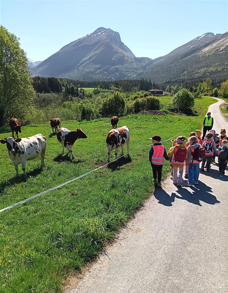 Klikk for stort bilete