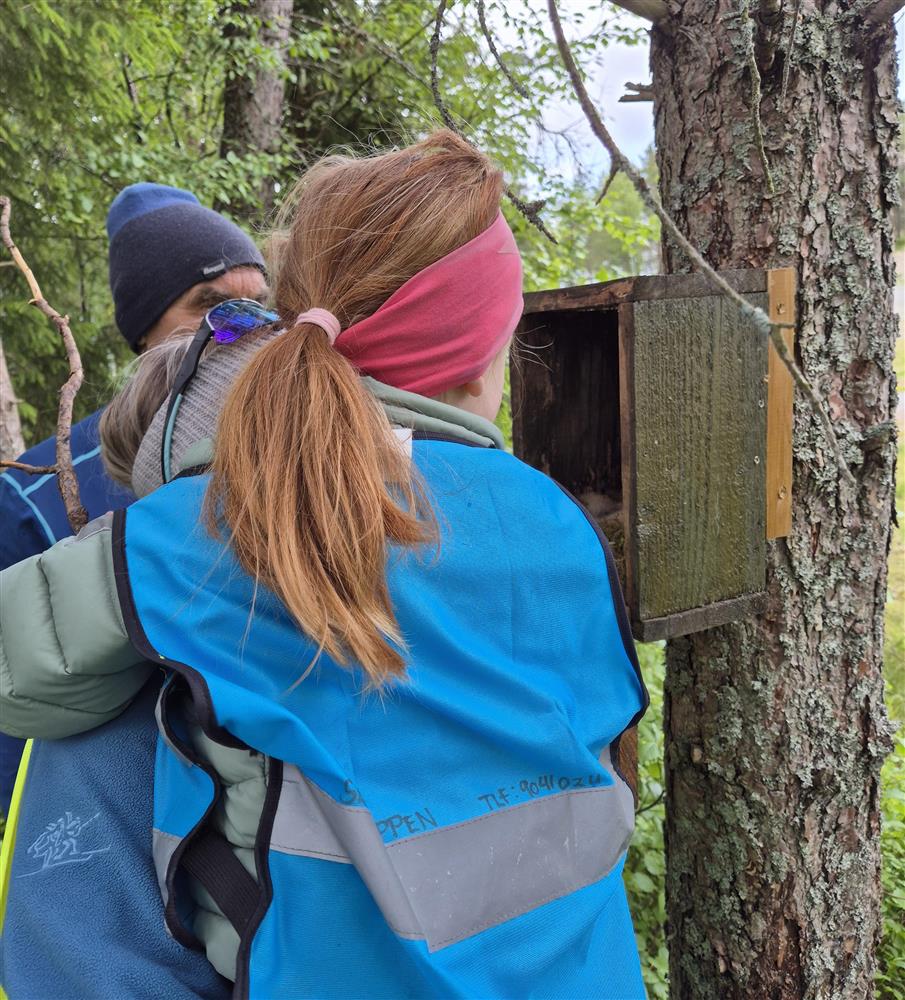 Klikk for stort bilete