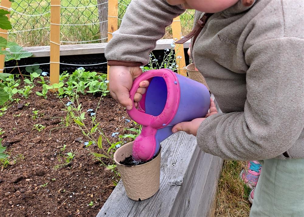 Klikk for stort bilete