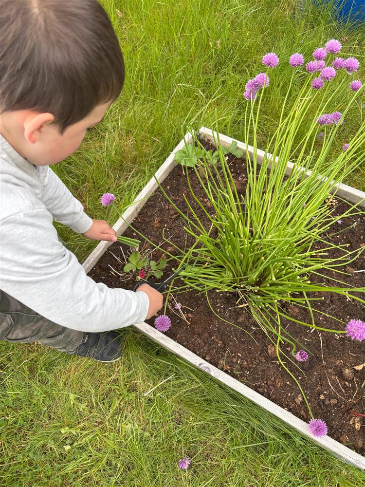 Klikk for stort bilete