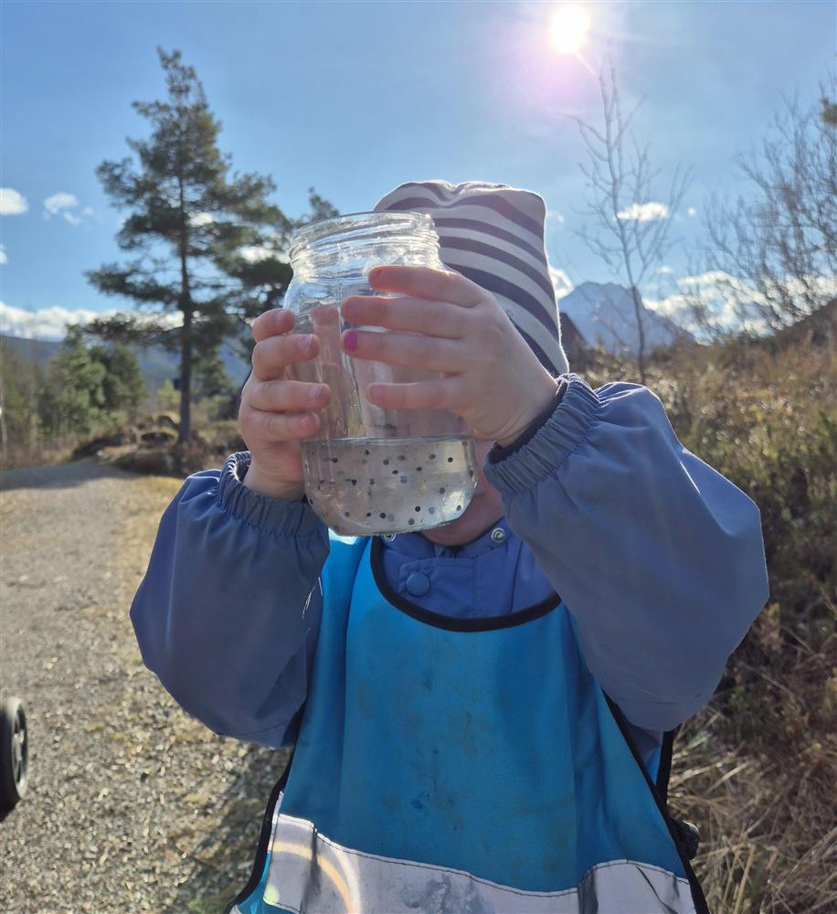 Klikk for stort bilete