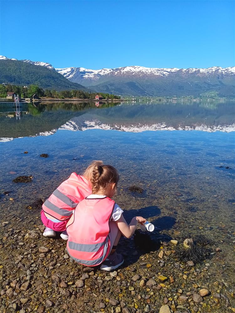 Klikk for stort bilete