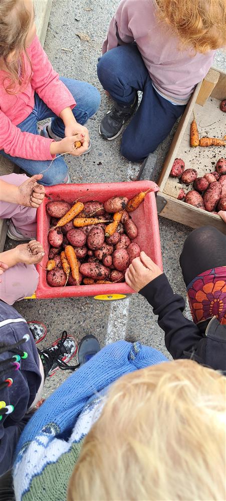 Klikk for stort bilete